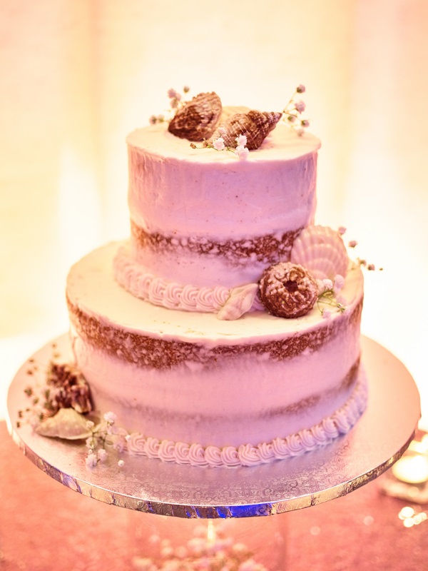 vintage-southern-wedding-in-a-historic-hotel-naked-cake