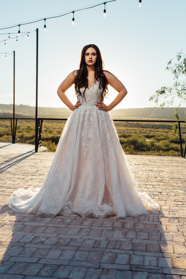 mid-century-moody-styled-wedding-bridal-gown