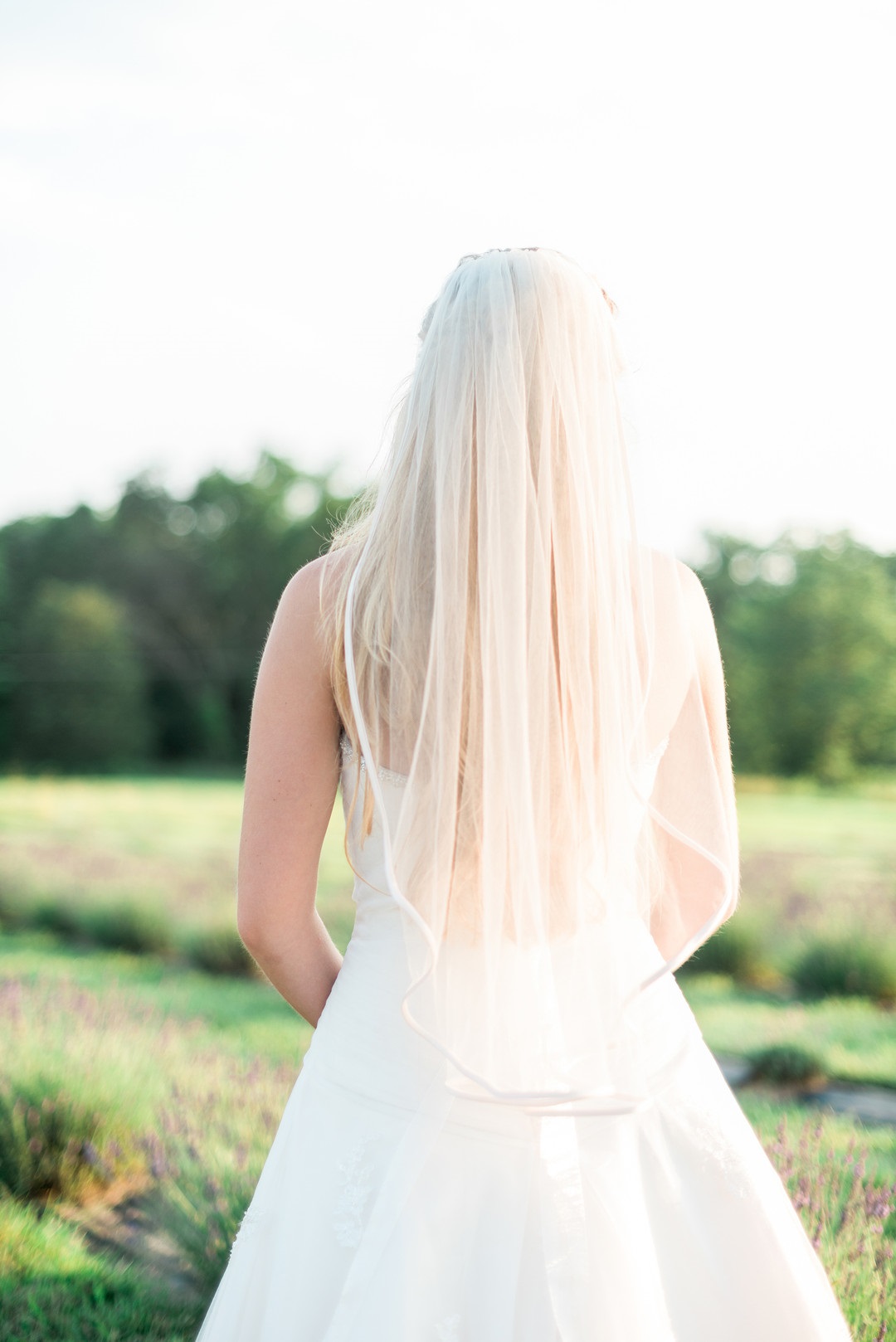 romantic-french-lavender-field-bridal-shoot-veil