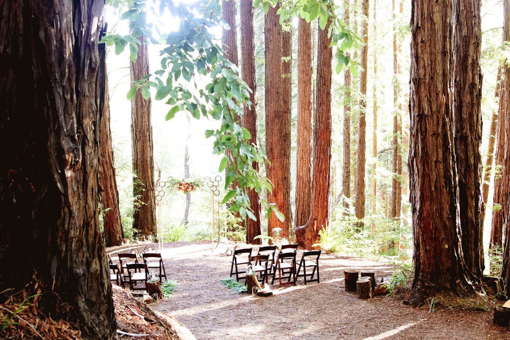 romantic-victorian-wedding-amongst-the-redwoods-ceremony