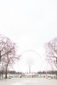 Paris ferris wheel